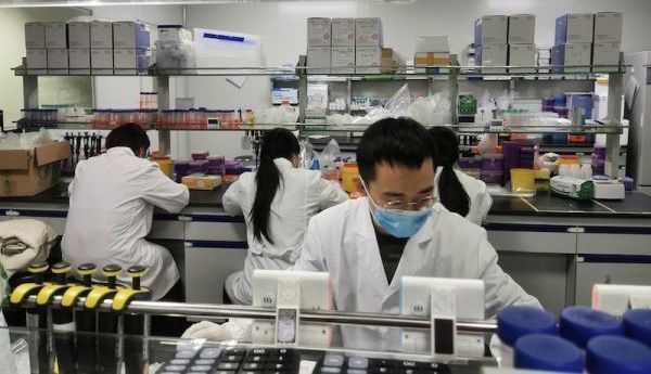 这就是gibco澳洲胎牛血清一直深受用户青睐的原因